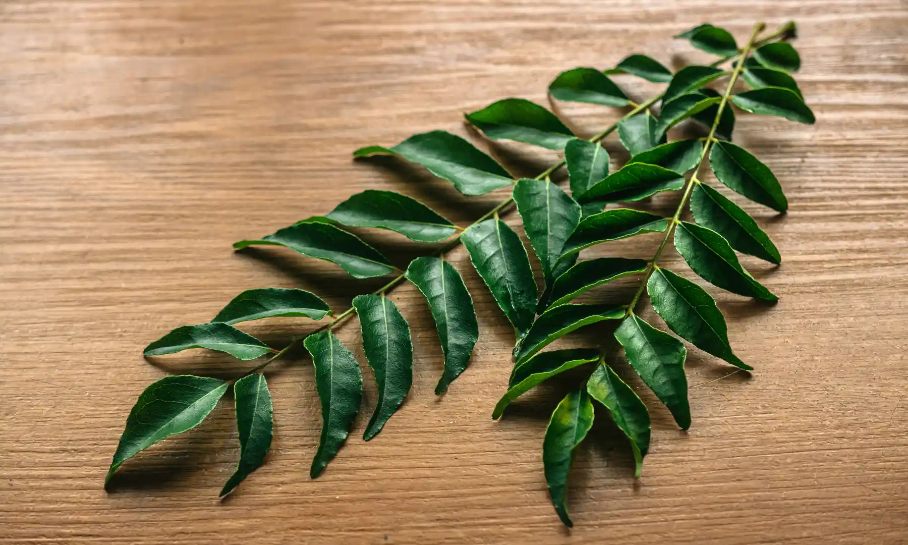 Dehydrated Curry Leaves