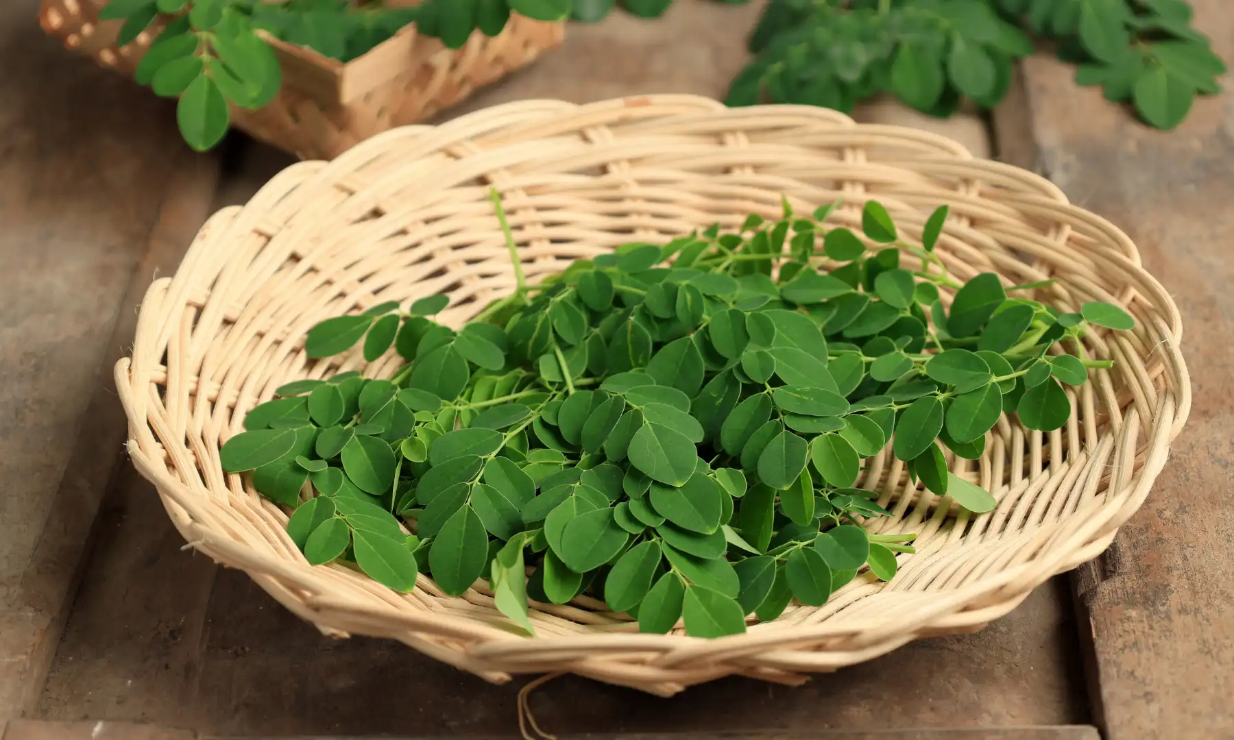 Moringa leaves