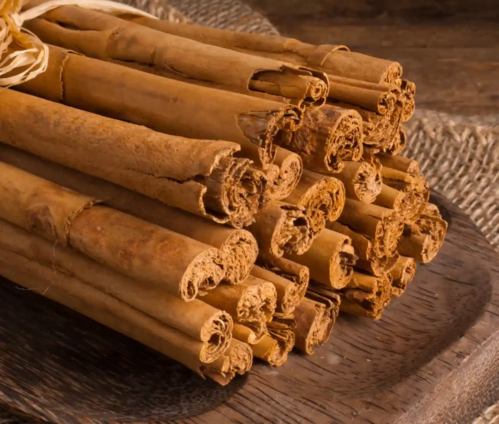 stick_bundle